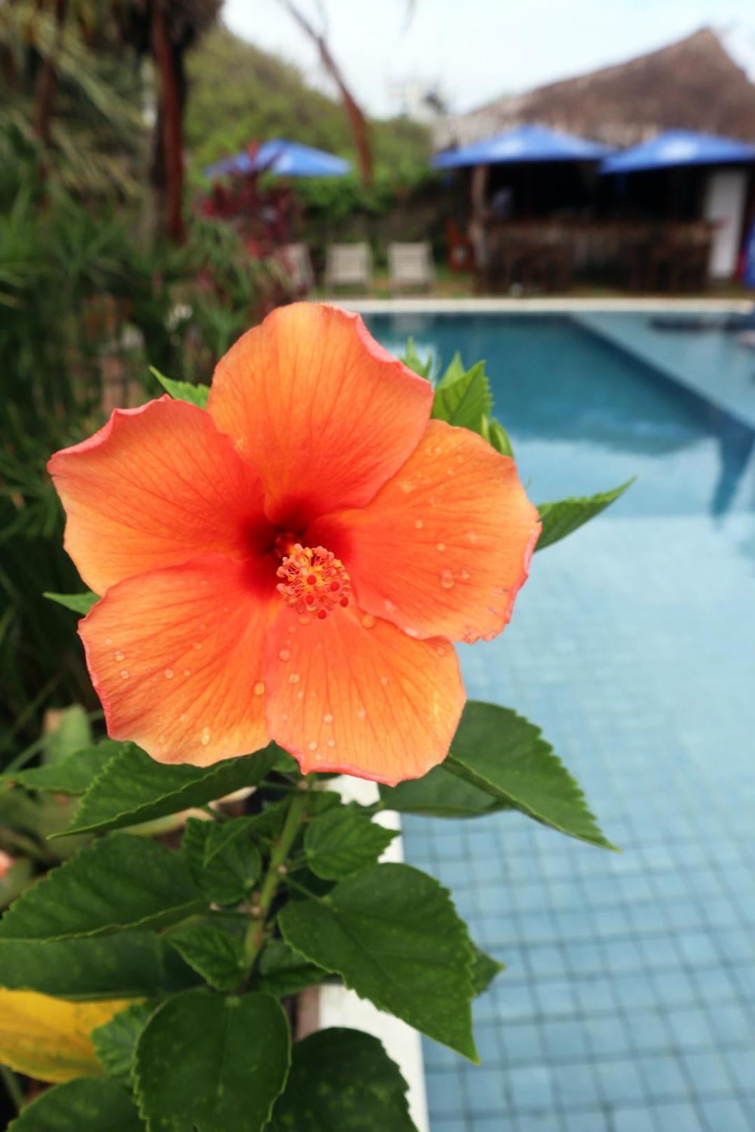 Pousada Vila Camurim อาชินส์ ภายนอก รูปภาพ